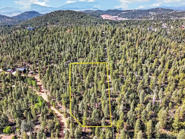 12907 S Cindy, Pine, CO 80470