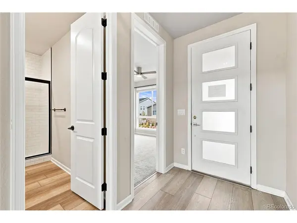 667 Simmental, Castle Rock, CO 80104