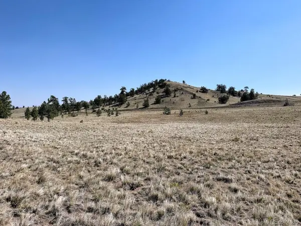 0 Falcon, Hartsel, CO 80449