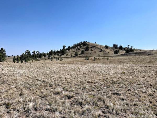 0 Falcon, Hartsel, CO 80449