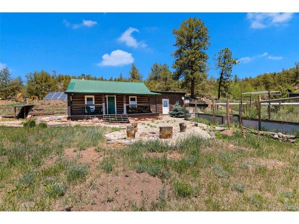 185 Canyon, Florissant, CO 80816