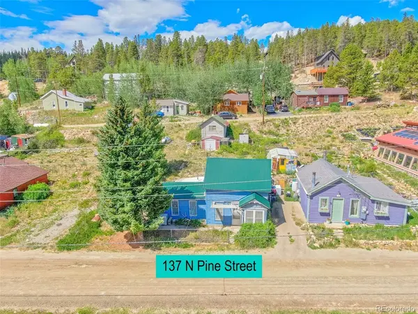 137 N Pine, Alma, CO 80420