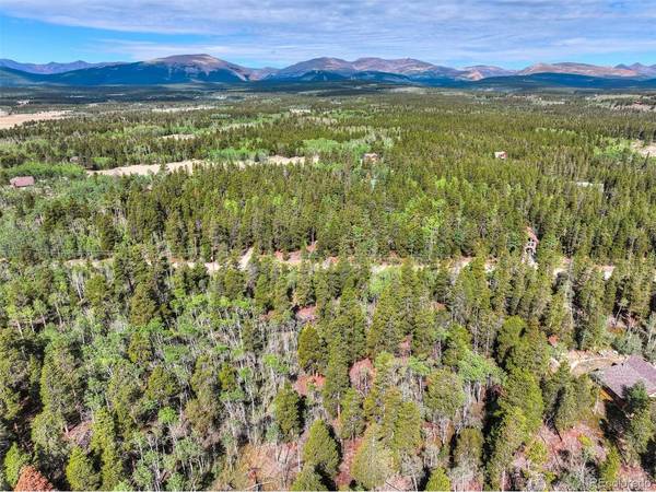 198 Green Bottle, Fairplay, CO 80440