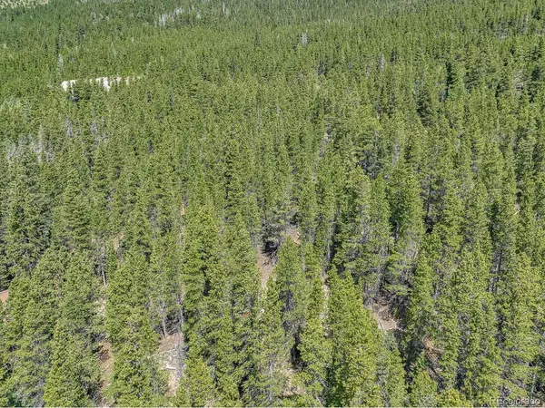836 Nebraska, Idaho Springs, CO 80452