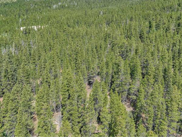 836 Nebraska, Idaho Springs, CO 80452