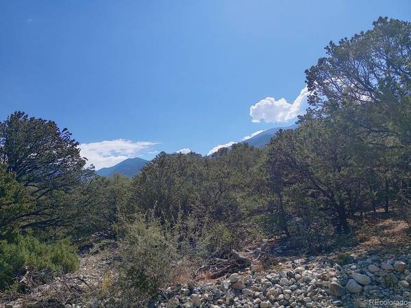 210 Big Bear, Mosca, CO 81146