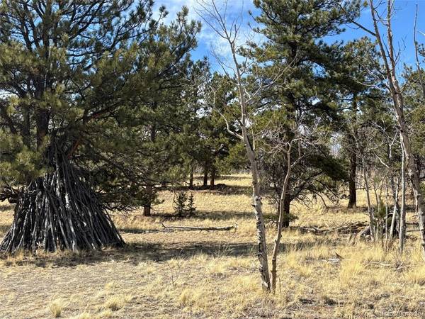 147 Bordenville, Jefferson, CO 80456