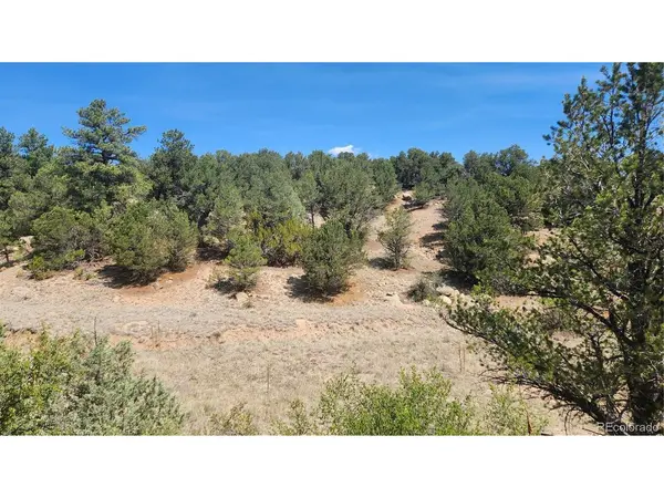 161 Ponderosa, Cotopaxi, CO 81223