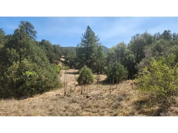 161 Ponderosa, Cotopaxi, CO 81223