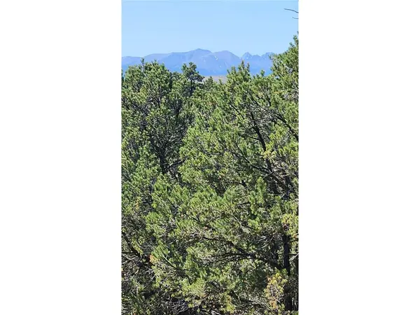 161 Ponderosa, Cotopaxi, CO 81223