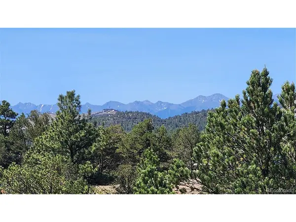 161 Ponderosa, Cotopaxi, CO 81223
