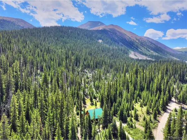5621 French Gulch, Breckenridge, CO 80424