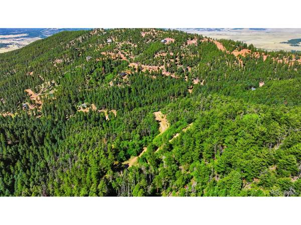 13488 S Firedog, Larkspur, CO 80118