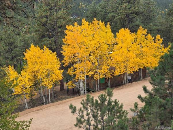 132 Jones, Bailey, CO 80421