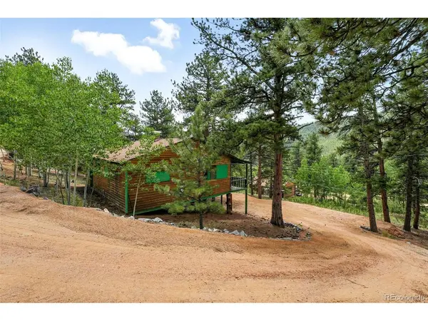 132 Jones, Bailey, CO 80421
