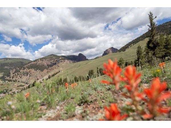 Address not disclosed, Creede, CO 81130