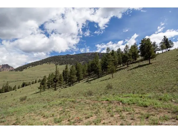 Address not disclosed, Creede, CO 81130