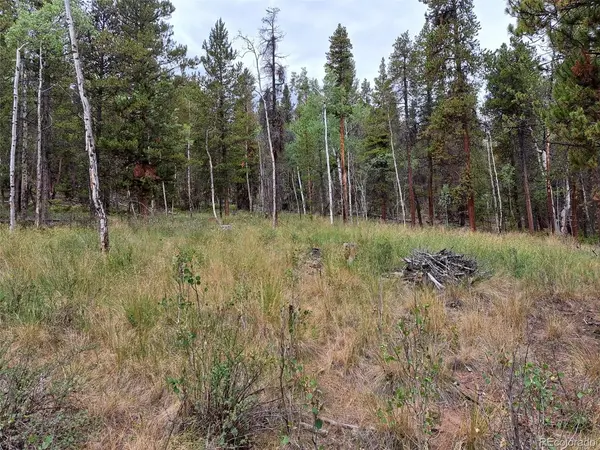 1201 Beaver Creek,  Fairplay,  CO 80440