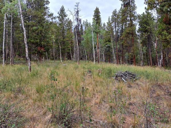 1201 Beaver Creek,  Fairplay,  CO 80440