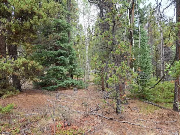 1201 Beaver Creek, Fairplay, CO 80440