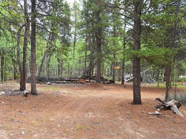 1201 Beaver Creek, Fairplay, CO 80440