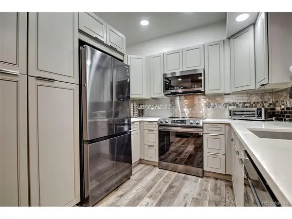 645 S Park #302, Breckenridge, CO 80424