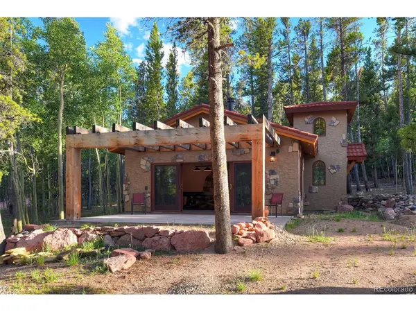 24 Little Baldy, Fairplay, CO 80440