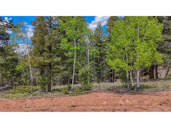 26 N Eldorado, Florissant, CO 80816