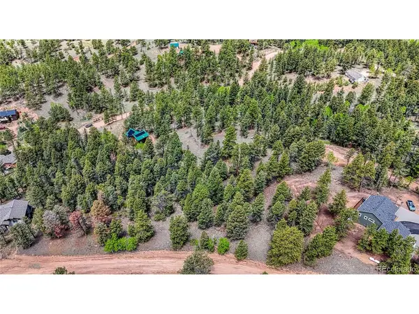26 N Eldorado, Florissant, CO 80816