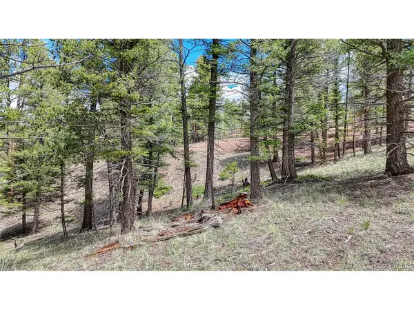 26 N Eldorado, Florissant, CO 80816