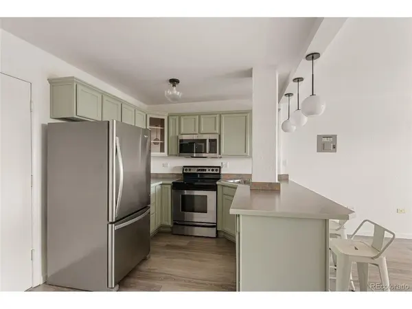 909 N Logan #11I, Denver, CO 80203