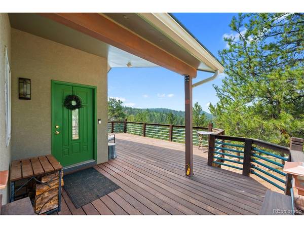 1205 Arapahoe Creek, Florissant, CO 80816