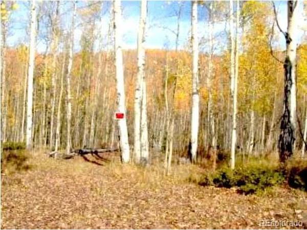111 CO 67, Cripple Creek, CO 80813