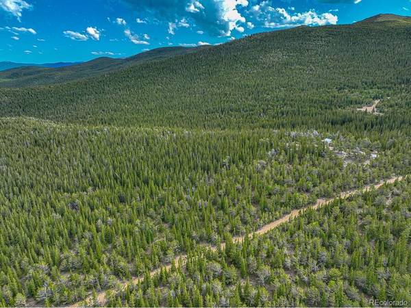 123 Mosquito Creek, Black Hawk, CO 80422