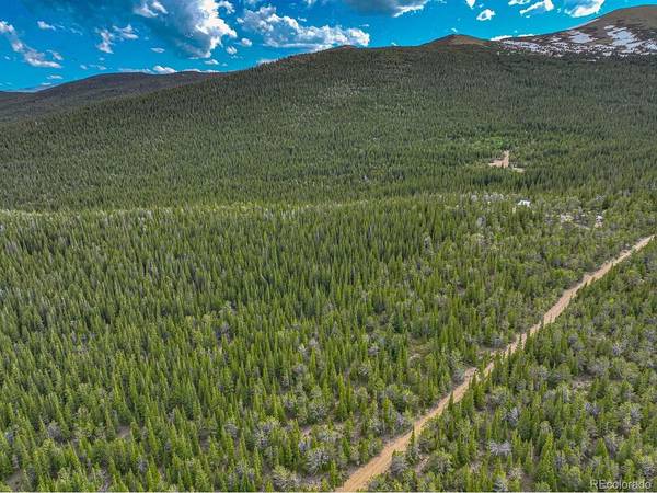 123 Mosquito Creek, Black Hawk, CO 80422