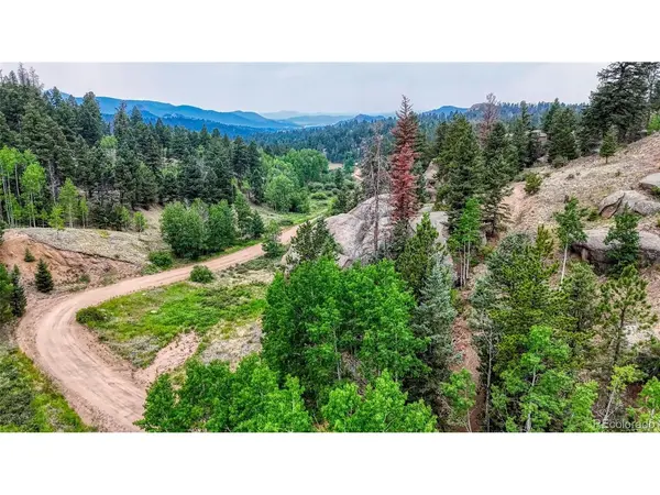 830 Pinon, Florissant, CO 80816
