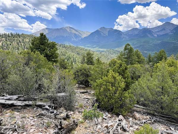 54 Knotty Pine, Howard, CO 81233