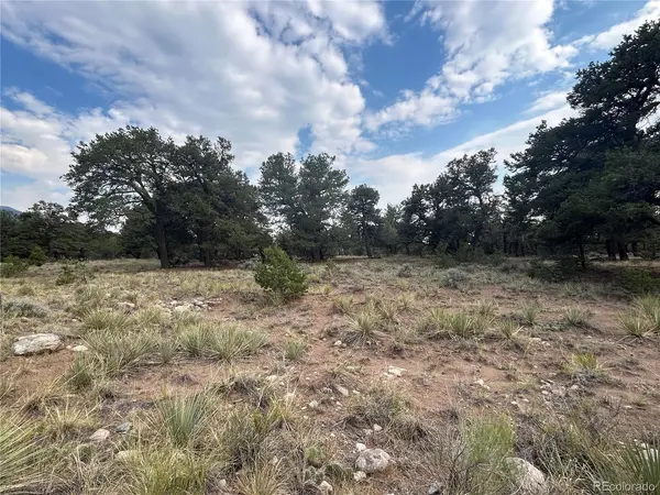 3530 Camino Del Rey, Crestone, CO 81131