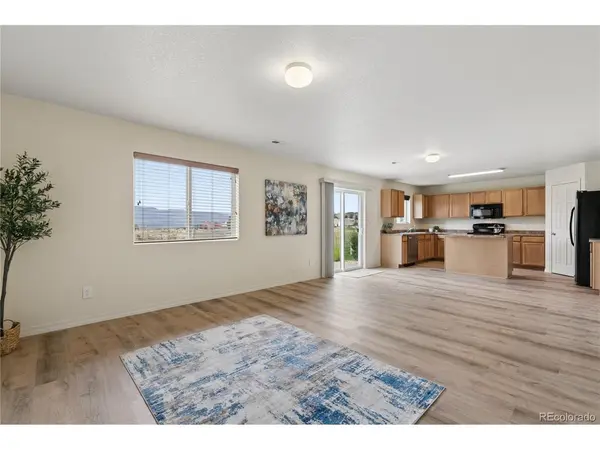 11675 Black Maple, Colorado Springs, CO 80921