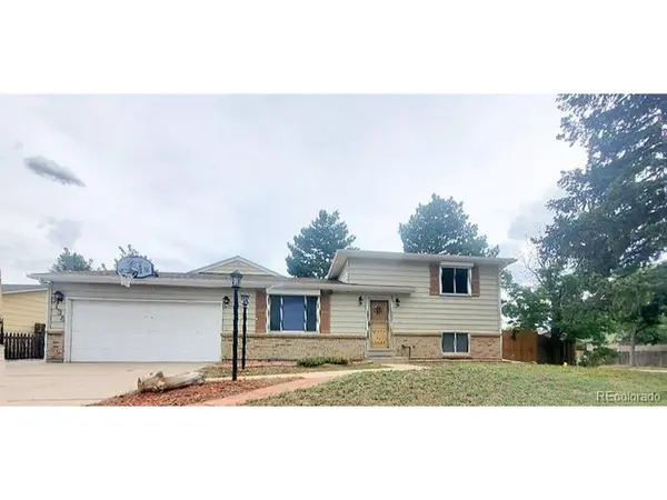 3138 S Joplin, Aurora, CO 80013