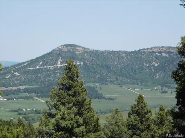 13524 Woodmoor West, Larkspur, CO 80118