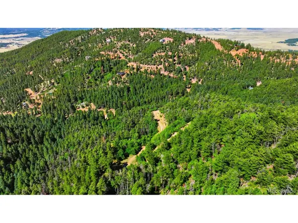 13464 S Firedog, Larkspur, CO 80118