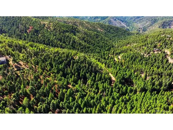 13464 S Firedog, Larkspur, CO 80118