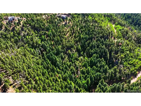 13464 S Firedog, Larkspur, CO 80118