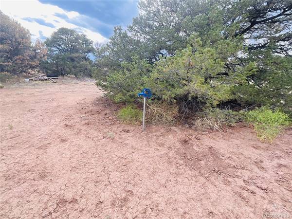 Lot 17 Phase 3 Navajo Ranch Resort, Walsenburg, CO 81089