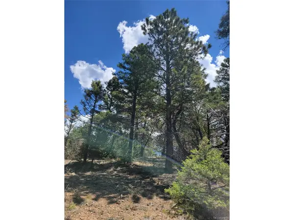 2716 Sesame, Fort Garland, CO 81133