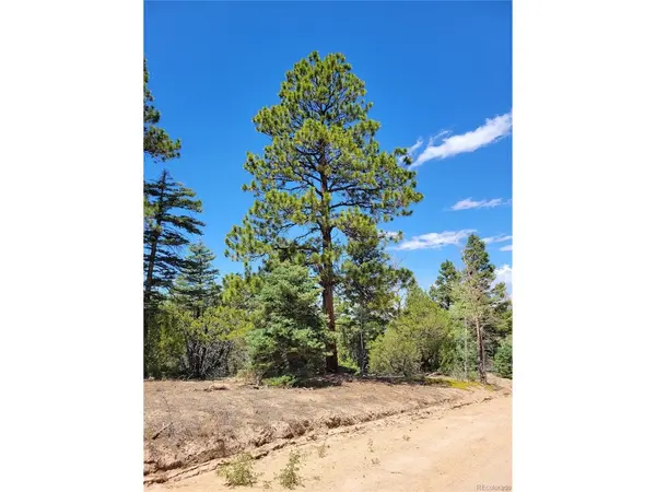2716 Sesame, Fort Garland, CO 81133