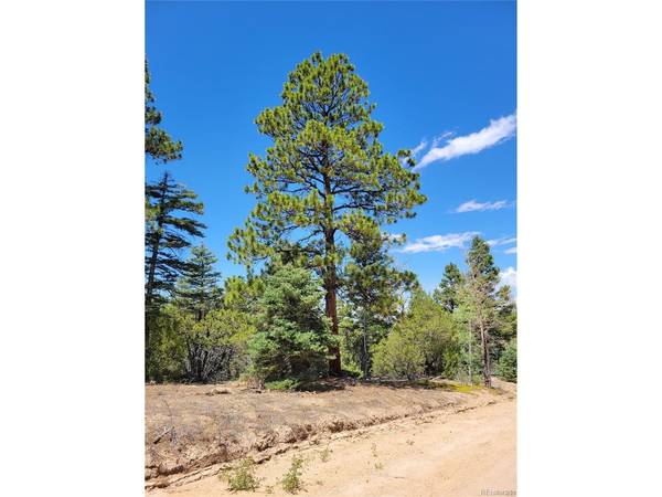 2716 Sesame, Fort Garland, CO 81133