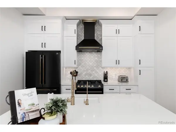 1733 Grove #4, Denver, CO 80204