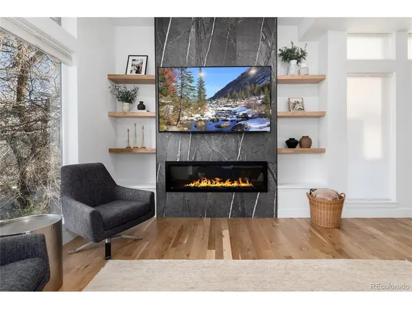 1733 Grove #4, Denver, CO 80204